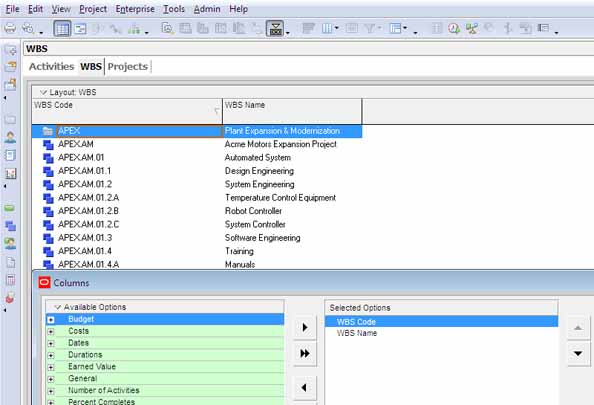 primavera p3 tutorials